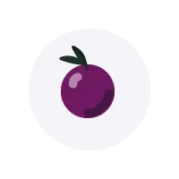 illustration fruit calebasse